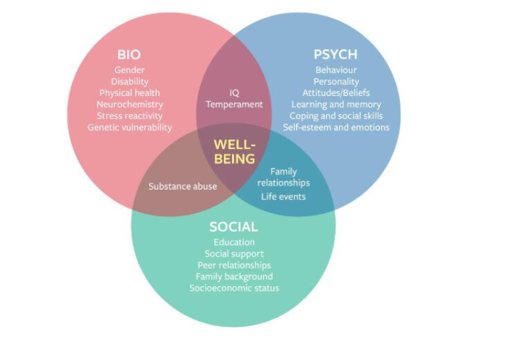 Social determinants of health overlap, helping to create a person's well being.