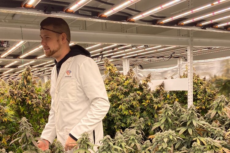 Steven Kekelik in a grow room of IndiGrow. (IndiGrow)