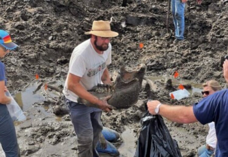  The leader of a dig that discovered a nearly complete mastodon on a local family’s farm will address the excavation, curation, and research of the find, and more on Wednesday, Oct. 16, at the Muskegon Museum of History and Science.