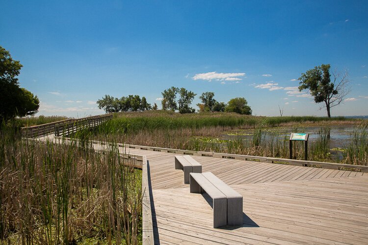 Lake St. Clair Metropark in Harrison Township.