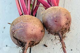 hamtown-farms-beet-list.jpg