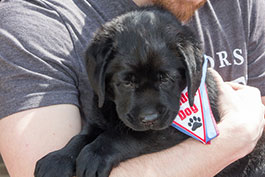 list-LeaderDogs_Logan_23-XL.jpg