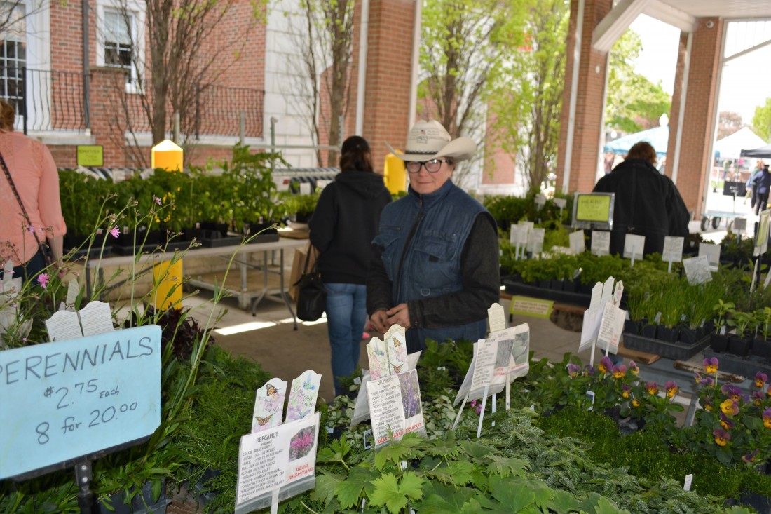 Plymouth Farmers Market