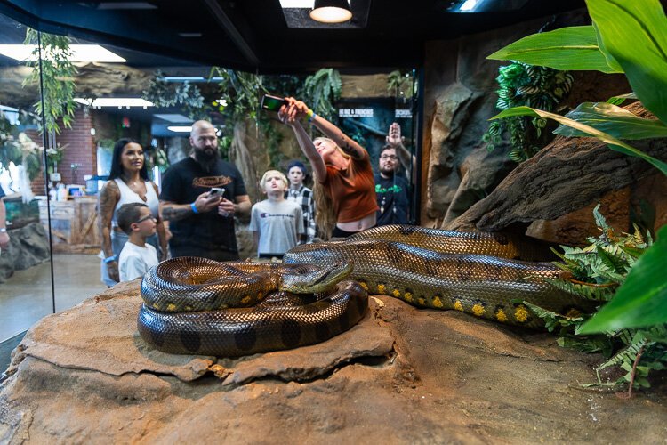 Macomb County reptile zoo lets visitors get up close and personal with