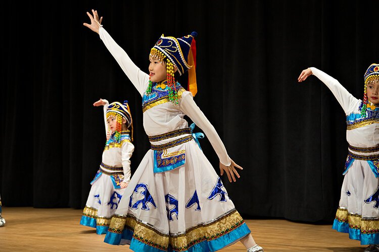 Sterling Heights, Cultural night