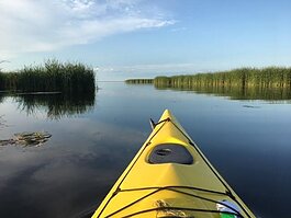 Just two miles east of Northwoods Wholesale Outlet, on Pinconning Road, you’ll find Cattail Kayak Rental in Pinconning County Park, on the Saginaw Bay.