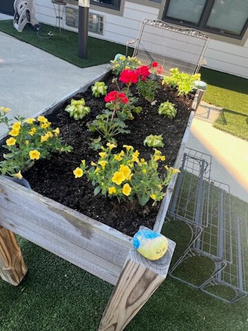 Isabella Bank volunteers helped plant at Primrose Retirement's Memory Garden