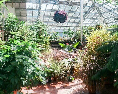 Dow Gardens conservatory reopens