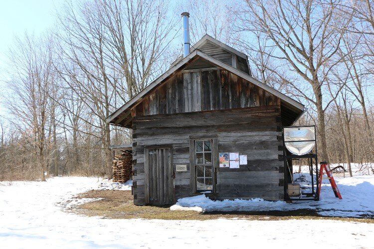 Sweeten your weekend with Chippewa Nature Center s Maple Syrup Day