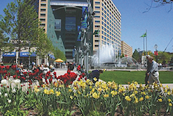 Detroit's Campus Martius