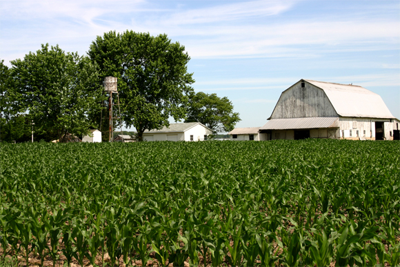 Farms come in every shape and size in NW Michigan. 