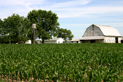 Farming Farm thumb