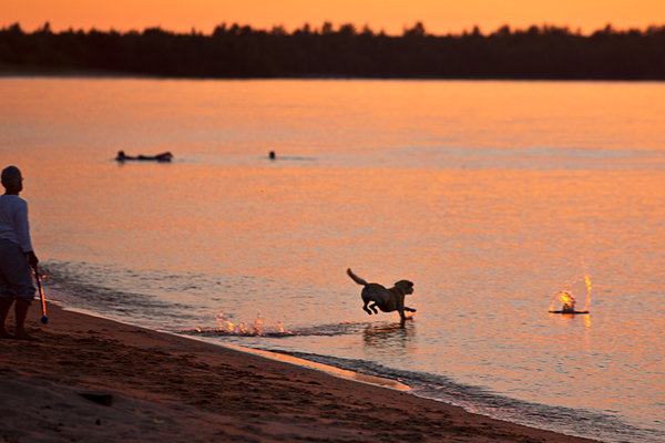 Playing with a pooch at sunset. 