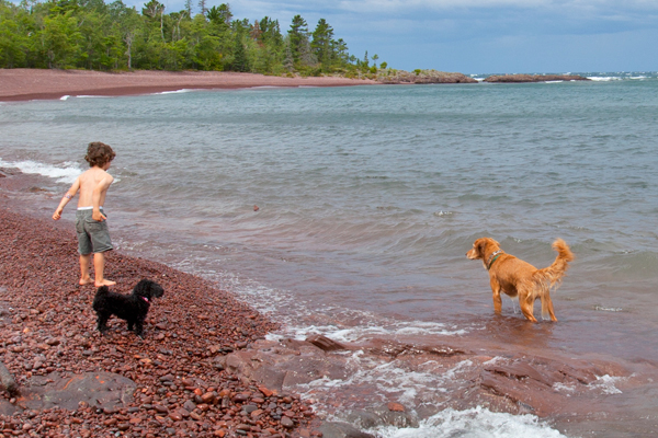 Dogs and water -- always a good time. 