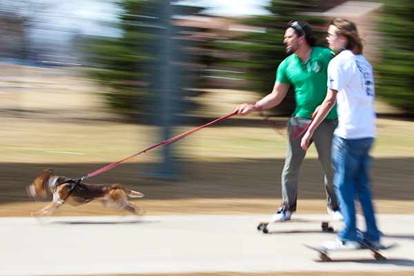 There's more than one way to walk the dog. 