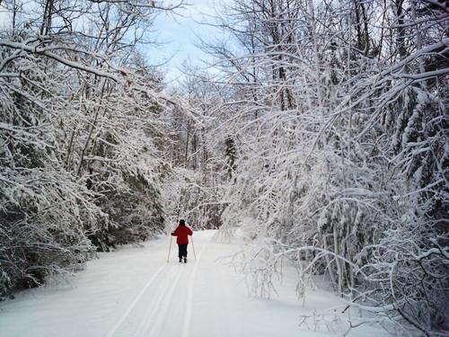 Rogers City in winter