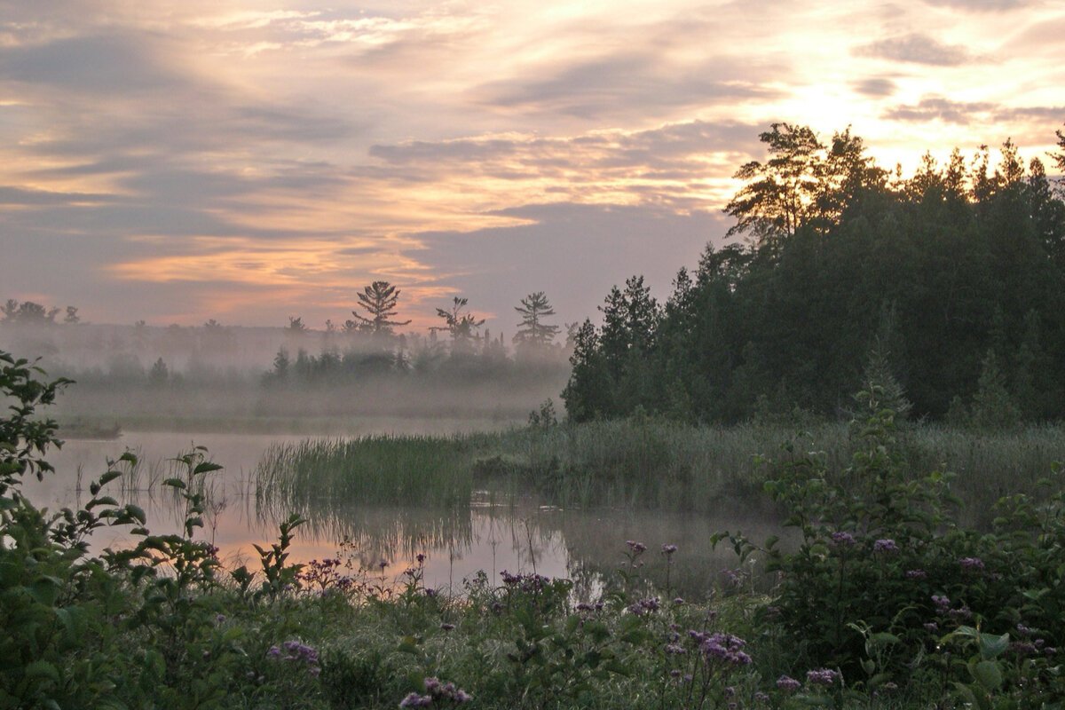 “Our role to protect the 1,502-acres that make up the natural area is made possible because of the generosity of our community," says Jenn Wright, GRNA Executive Director.