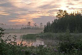 “Our role to protect the 1,502-acres that make up the natural area is made possible because of the generosity of our community," says Jenn Wright, GRNA Executive Director.