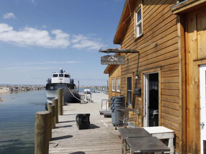 Carlson's Fishery opened in 1904 at Fishtown in Leland.