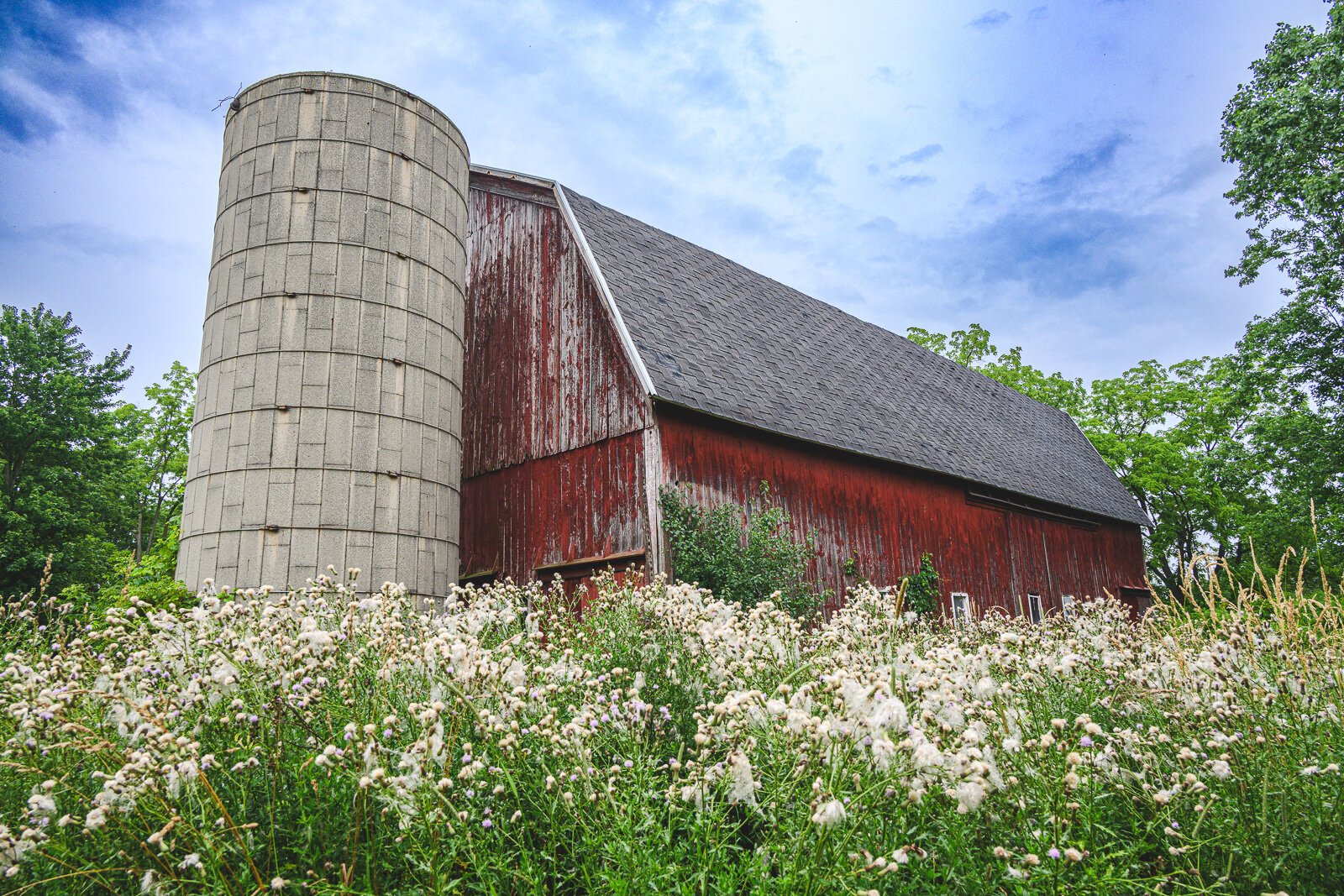 Conant Farm in Salem Township.