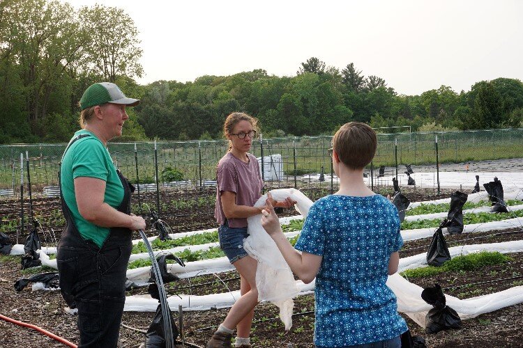 Phoenix Community Farm is powered largely through volunteer work.