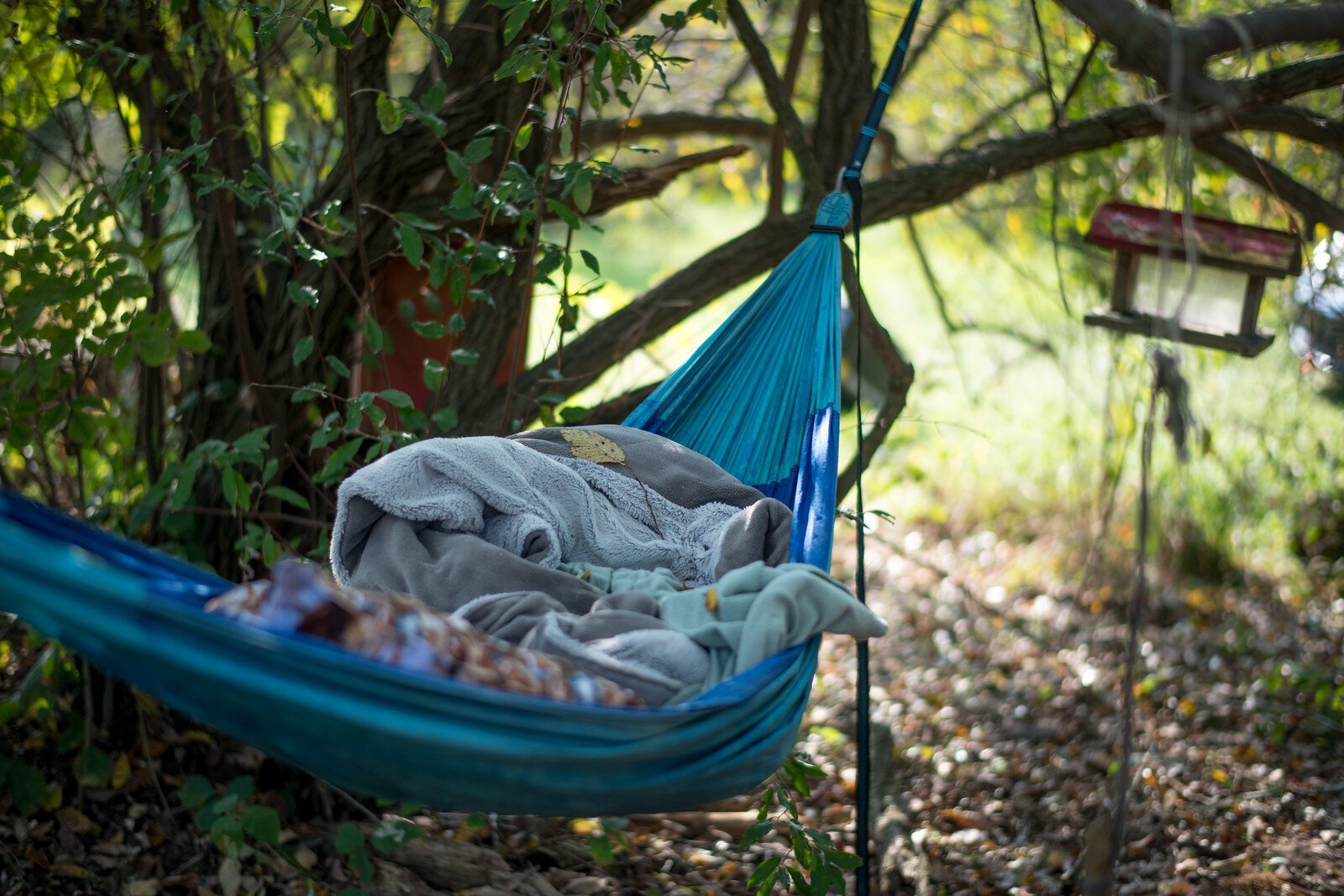 Pekarovic had slept outside in a hammock the night before. He grew up next to the field Solfed sits on now, and often camped in the same spot as a teen.