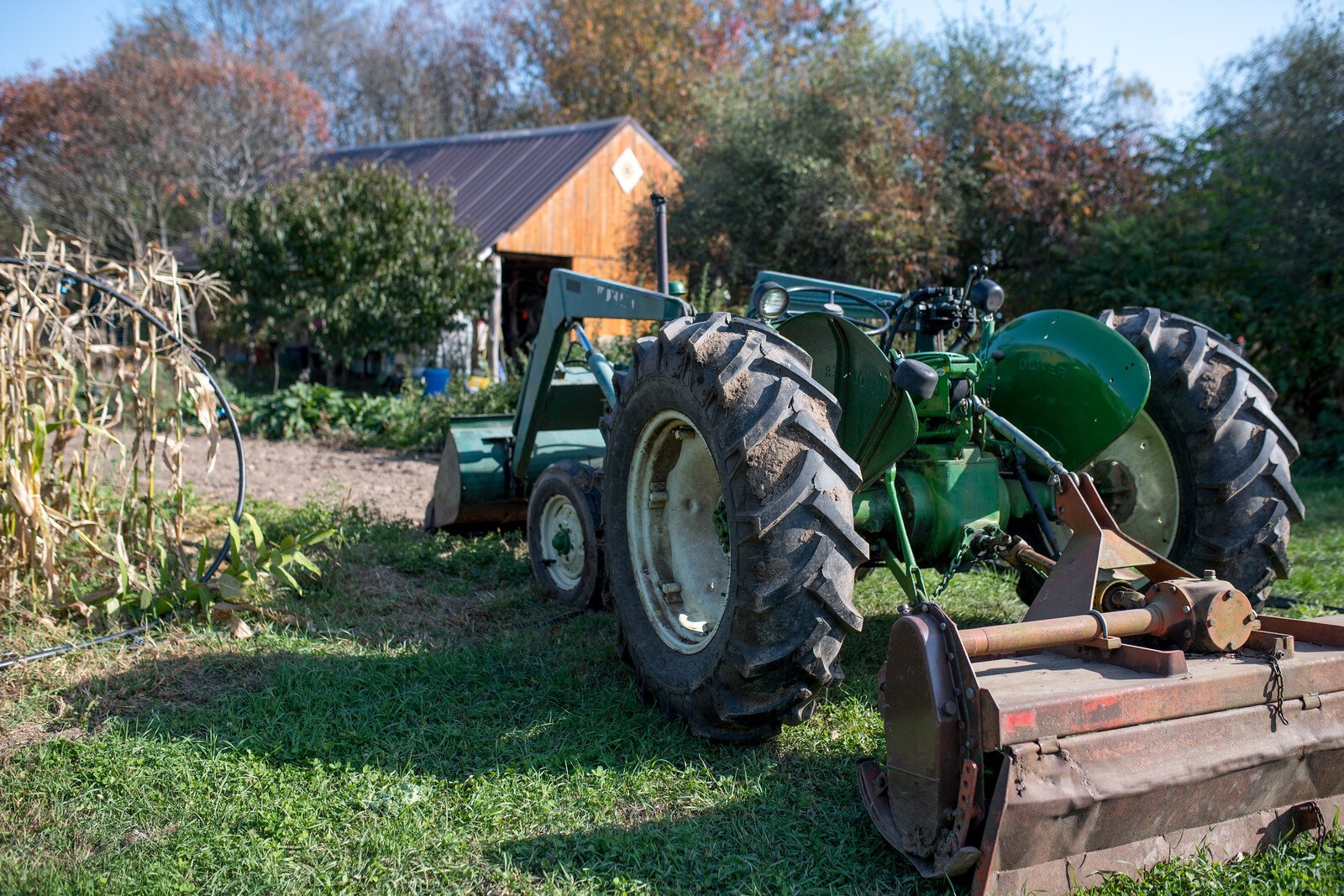 Scenes from Solfed Farms