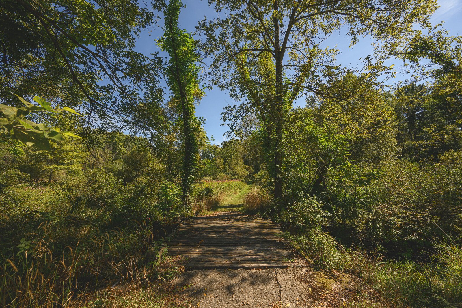 Iron Creek Preserve in Manchester Township