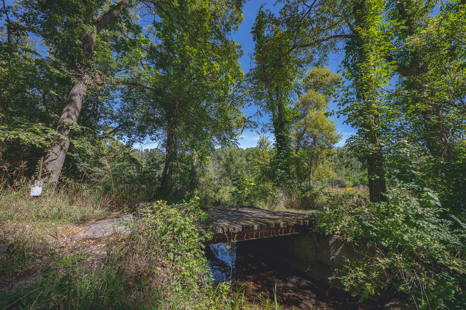 Iron Creek Preserve in Manchester Township.