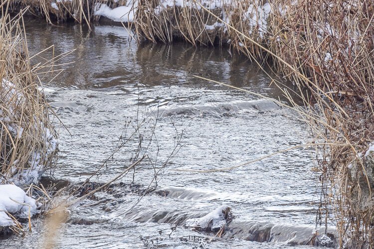 Mill Pond Park offers four seasons of beauty