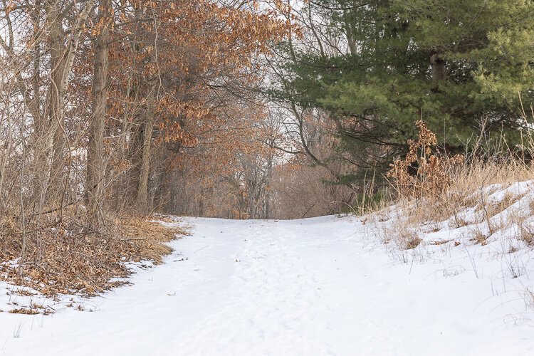 Shiawassee Basin Preserve encompasses some rare ecosystems