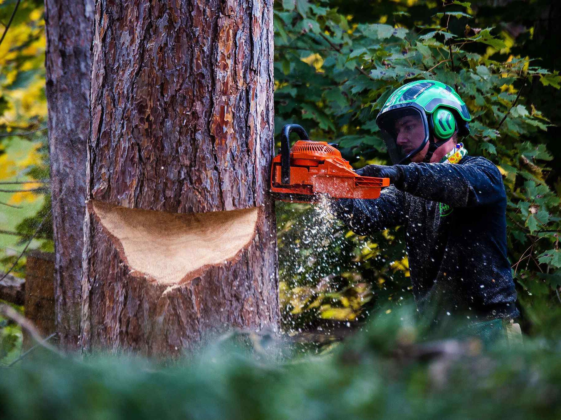 A small business grant from the Federal Home Loan Bank of Indianapolis helped Joe Gougeon grows his tree service business.