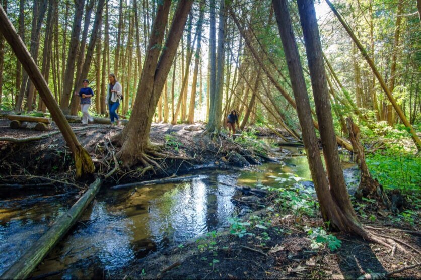 “We are honored to continue the stewardship of Leo Creek Preserve, ensuring that it remains a jewel of Suttons Bay for students and the public,” says ISEA executive director Fred Sitkins.