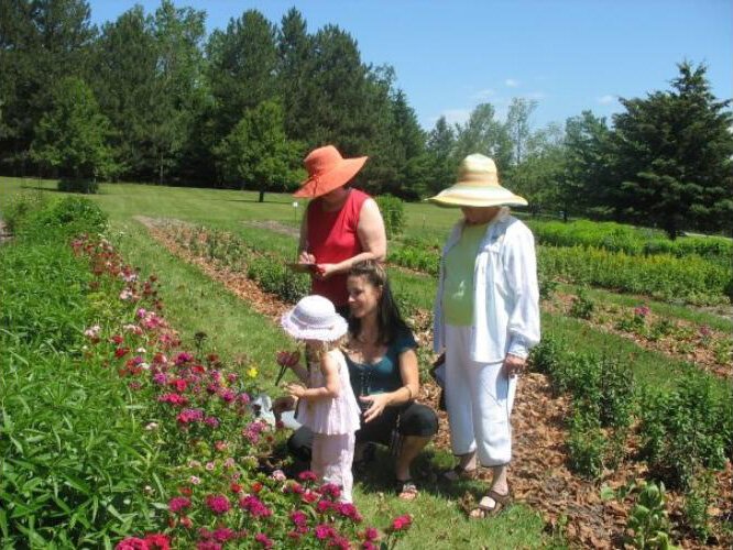 Omena Cut Flowers grows 40 varieties of annuals and perennials.