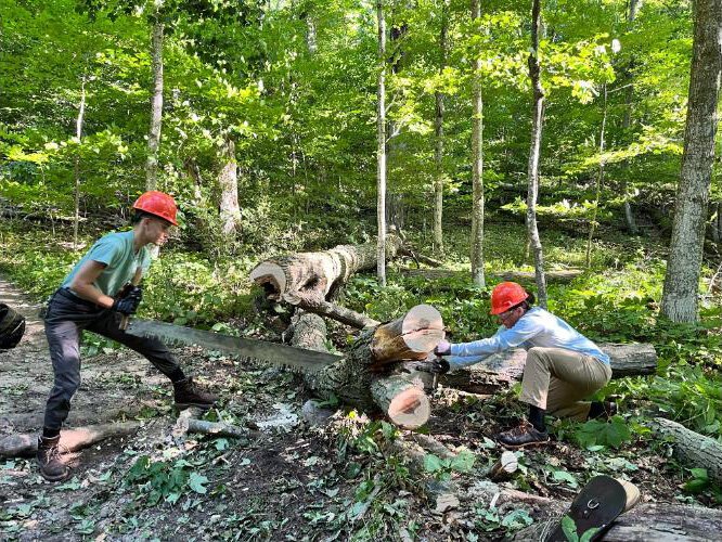 Trail clearing in a wilderness area of Sleeping Bear Dunes National Lakeshore.