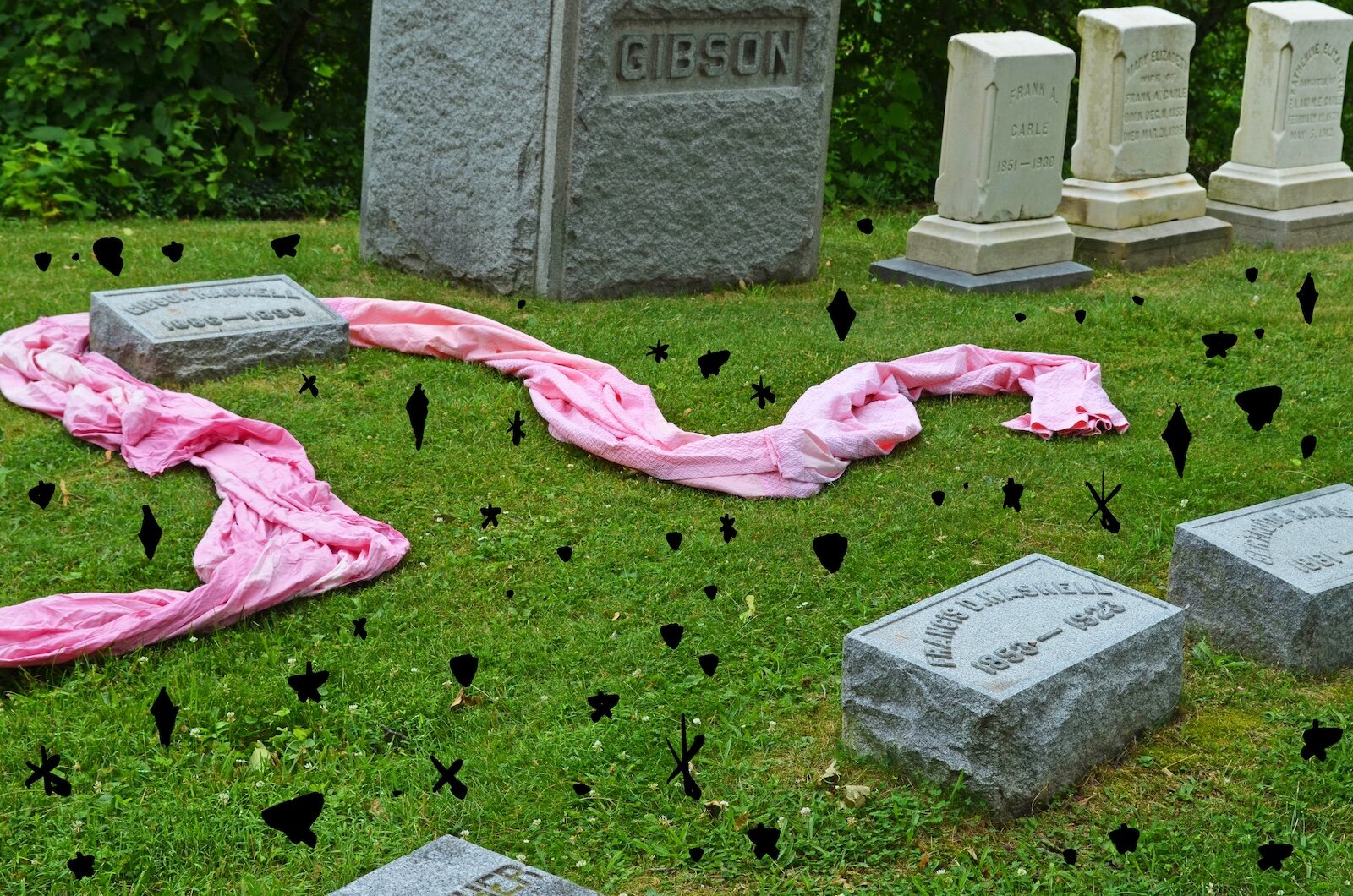 Photographs taken at Mountain Home Cemetery in Kalamazoo, using a long swath of donated white cloth dyed red and pink to connect the graves as a way of reflecting many faiths' belief that we are all truly interconnected and equal in death.