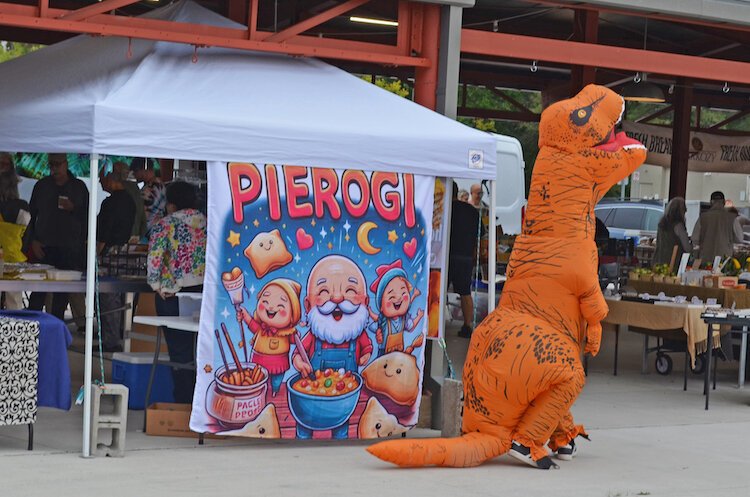 Severyn typically dons a blow-up costume of some sort. At this market, it was a T-Rex, which was a hit.