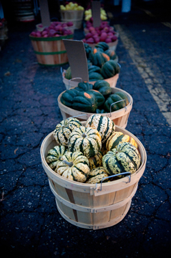 Farmers Market Thumbnail