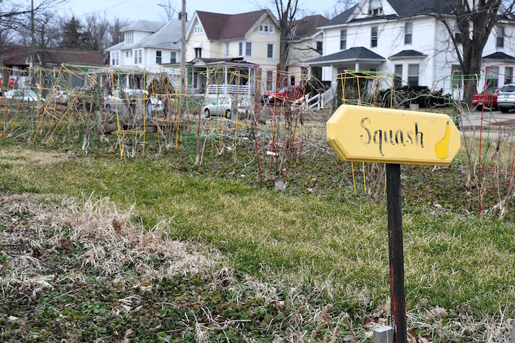 A variety of vegetables, including squash, have been grown in past years at the Fremont Garden.