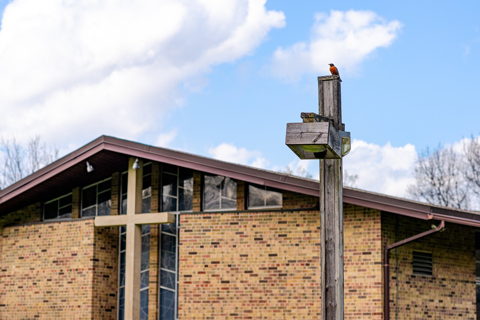 A robin visiting the Westminster Presbyterian Church