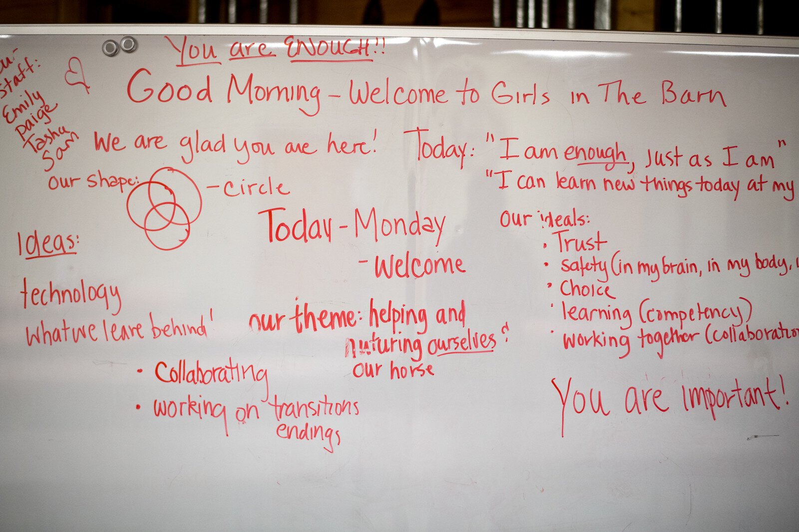 Girlz in the Barn is a psycho-educational program at Cheff aimed at adolescent girls to build their self-esteem and confidence and improve their communication skills. 