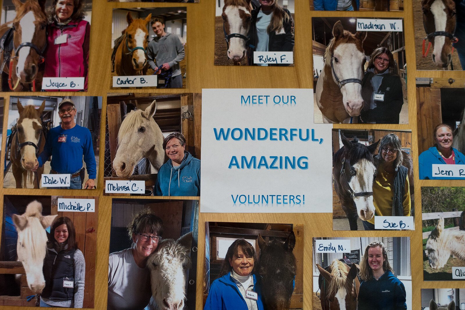 The Cheff Center has had 190 trained volunteers who have helped support the therapeutic riding programs.