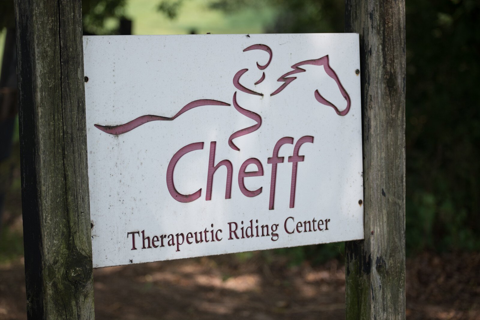 The Cheff Center originally aimed its programs at clients with physical disabilities, such as cerebral palsy, but in recent years, has expanded to include many clients with behavioral health issues, such as autism, depression, and anxiety.