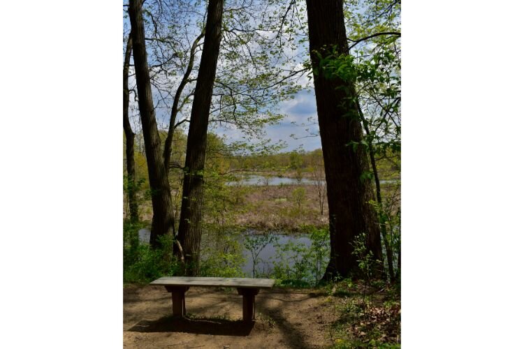 A bench at Hidden Marsh Sanctuary provides scenic views of Portage River.