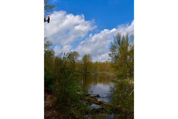 A trail at Hidden Marsh following the river.