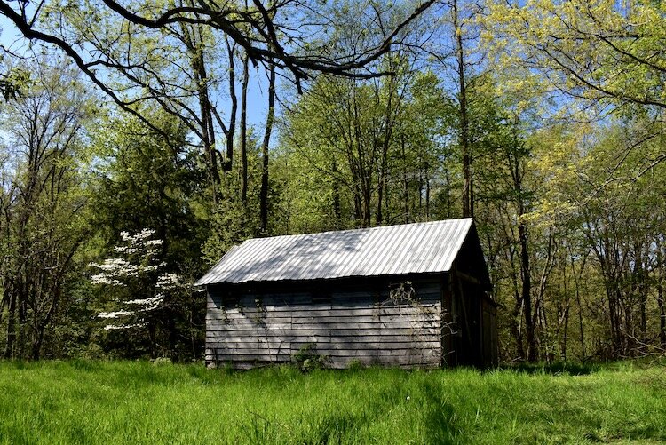 The shed marks the entrance of Spirit Springs Sanctuary.