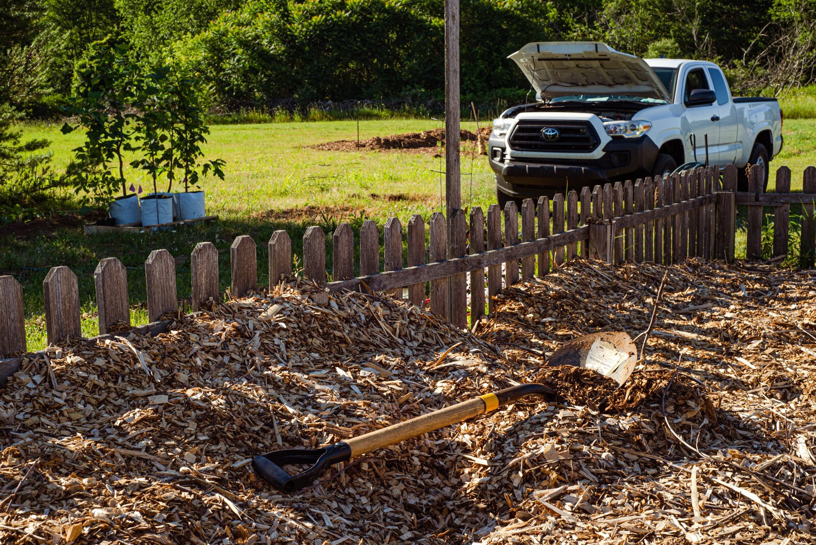 The vegetable garden shows signs of work being done there.