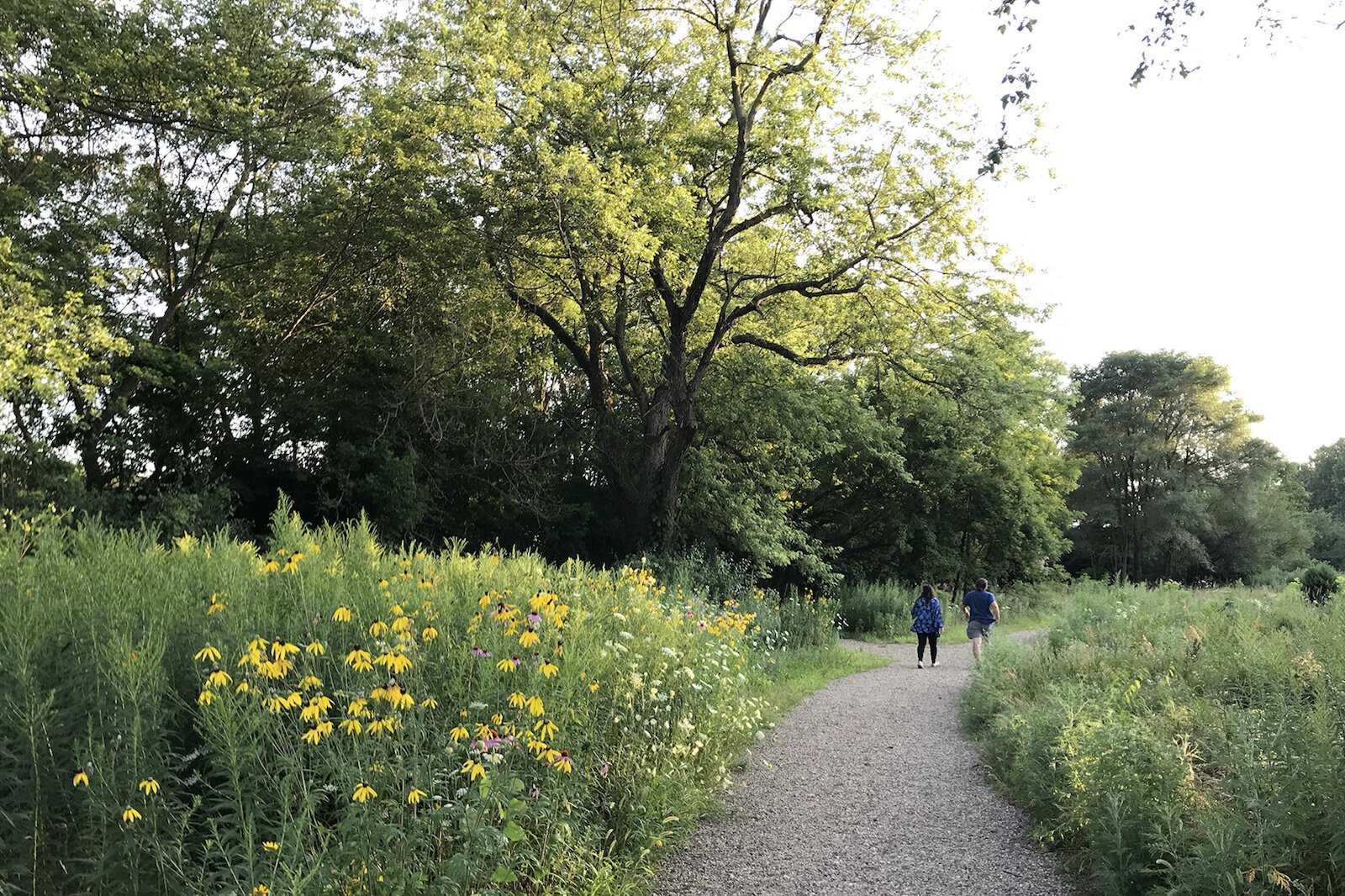 Bow in the Clouds Preserve in Kalamazoo one of its many features is an upland area that includes a barrier-free loop trail so that people of all ages and abilities can get out to experience this urban natural area.