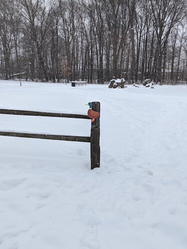 One of 30 items that have been hidden in 15 public parks throughout the City of Kalamazoo as part of a Parks and Recreation scavenger hunt.