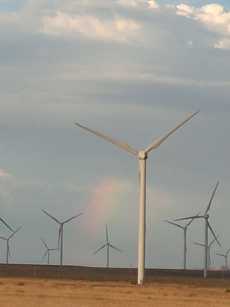 A field of wind turbines